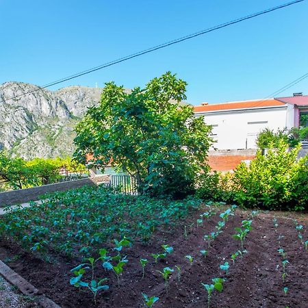 Apartments Fusion Mostar Zewnętrze zdjęcie